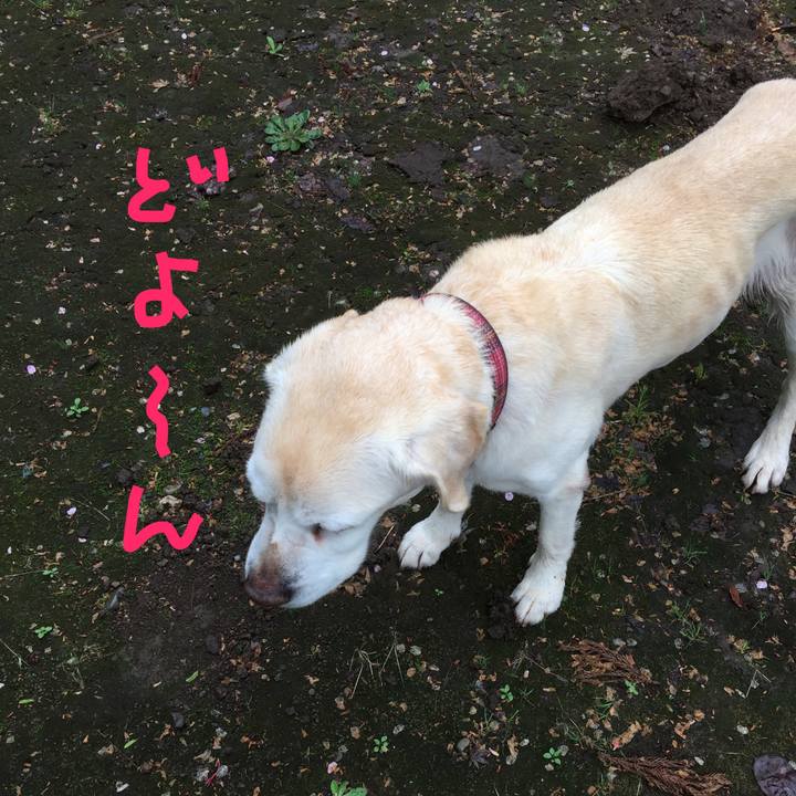 Ce31730a b2a8 43b7 b05a 3cc0c990734d 1524550486481