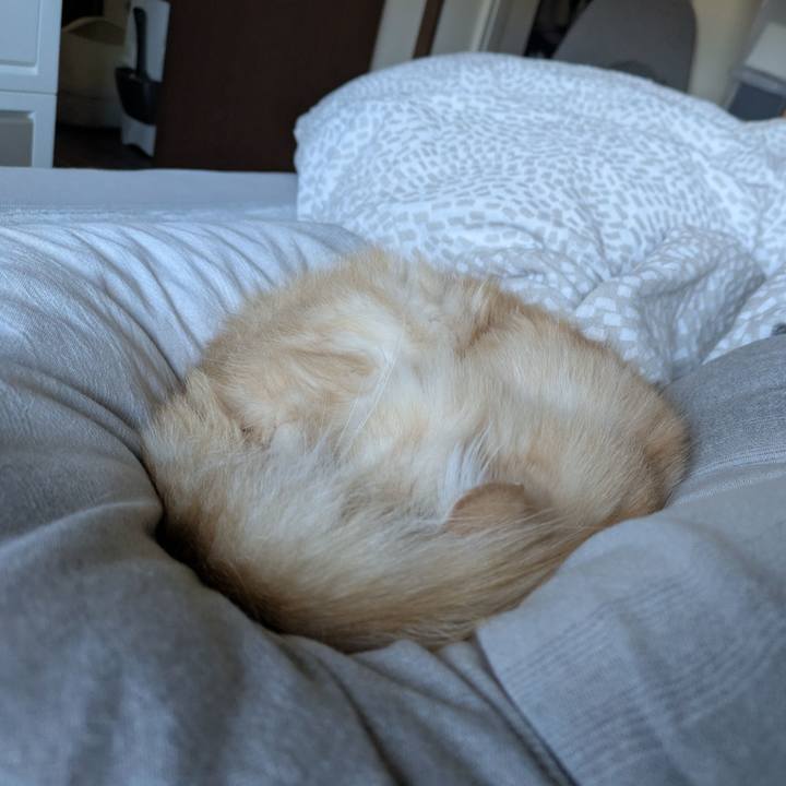 Ce31c735 bc9a 45da b36d 69b6d22f6a9f 1732579802458