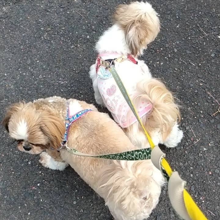 Ce3211ec 4738 4c7e 99c0 dc1d29ced2cf 1666401052127