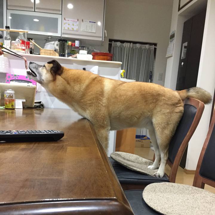 Ce321308 9ef1 43de b80a 5b5e5a7e5204 1522317847145