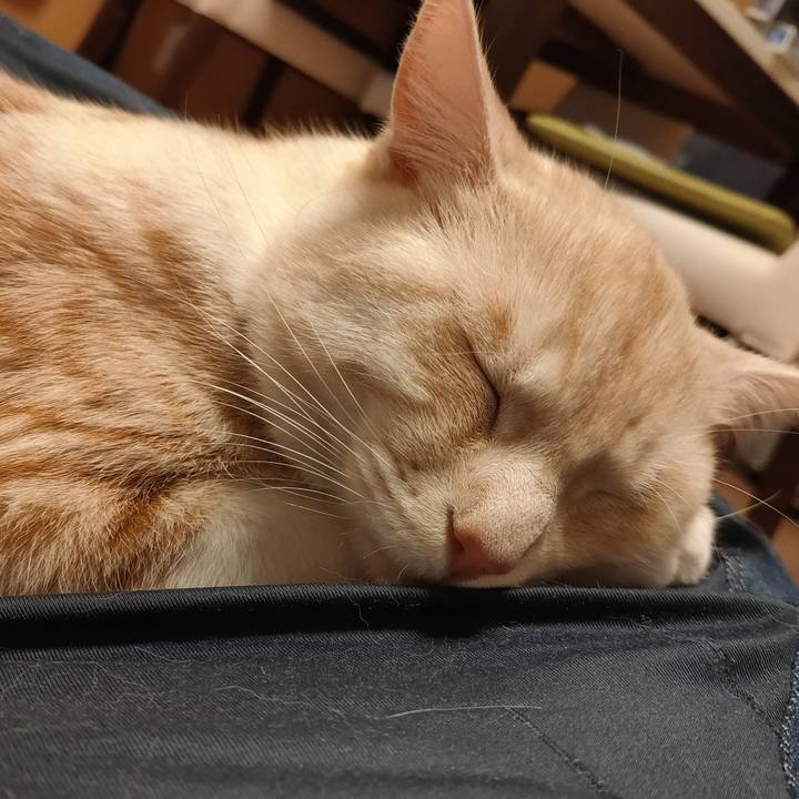 Ce32252f d7ee 47b3 98a4 022d62cfd59f 1657701125699