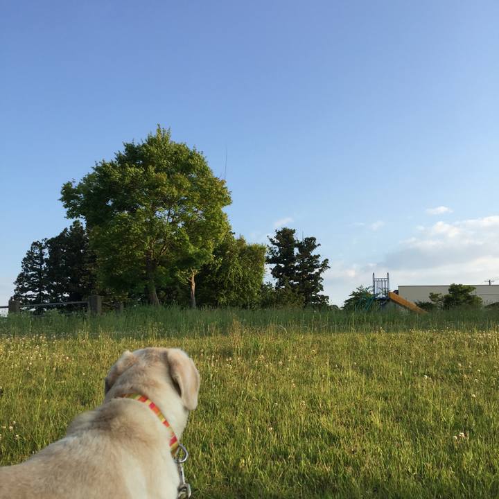 Ce323b55 7452 4b06 afbb 0f1fad75510a 1587729899940