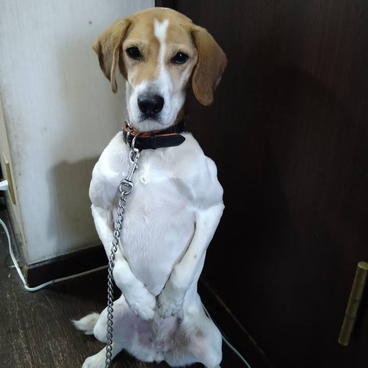 Ce323d68 2c17 4c55 860b cba78eb8f8d5 1645014926391