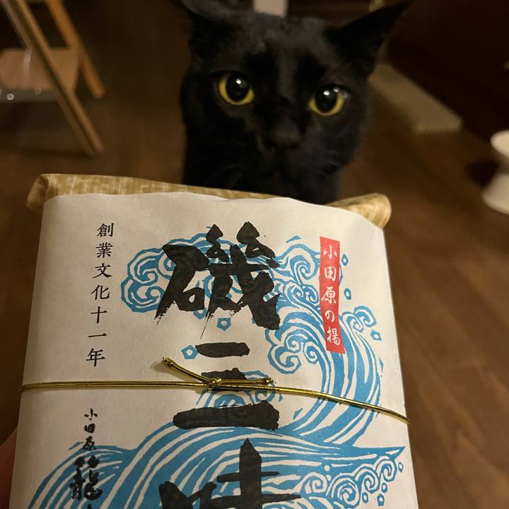 Ce329fae f5a4 4e34 8882 b3d8a1a7417a 1707641076200