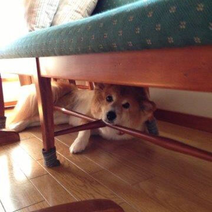 Ce32a6dc dcf0 4b87 9da2 d74f1caf0cfe 1566878788825