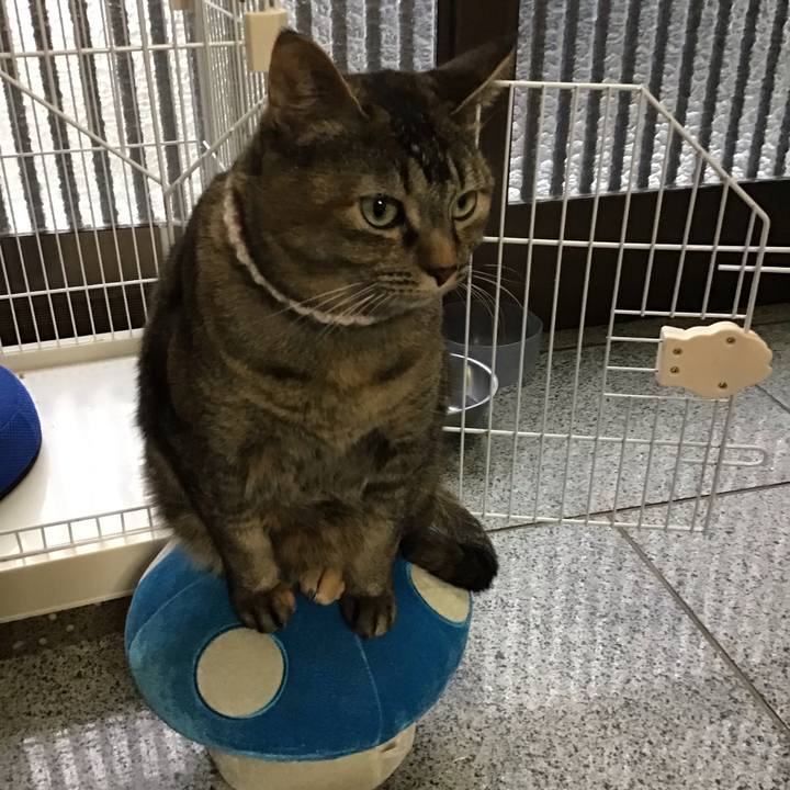 Ce32aaa0 df56 41ff 87c5 39d895036b53 1673696642915