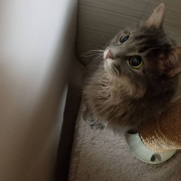 Ce32b630 ba43 4ec7 9d37 a3d757a9ccd9 1534856655288