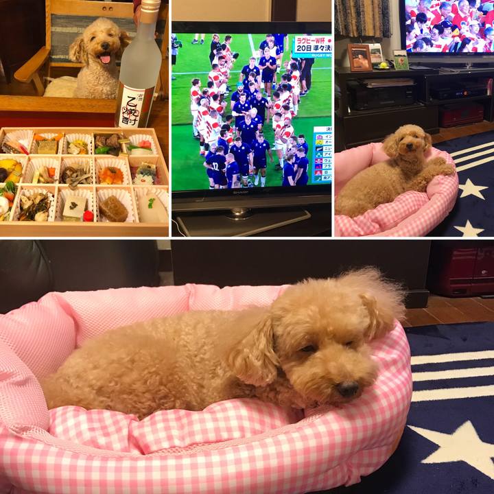 Ce32d98e 4b79 491e beb9 eb376e7406d8 1570977090457