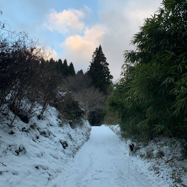 Ce334ee2 f21c 41f7 a6e3 33e84d1704ff 1582033000596