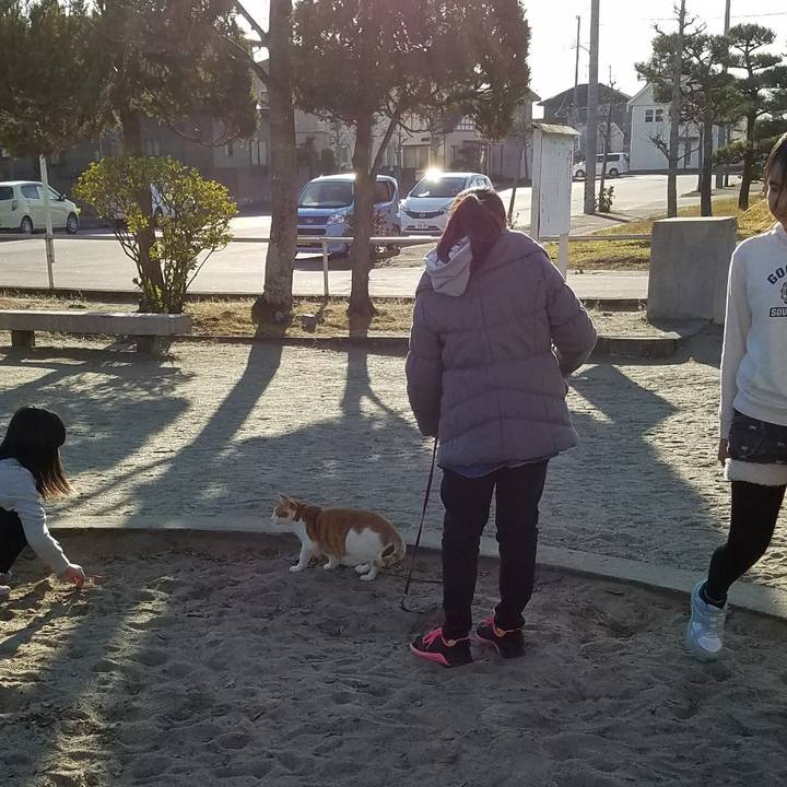 Ce335da0 06f0 4f62 85c0 6996192cd0de 1512291479796