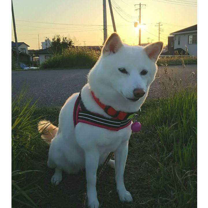 Ce33816f a551 4e3e 980a ccfdf47b21ac 1556877093383