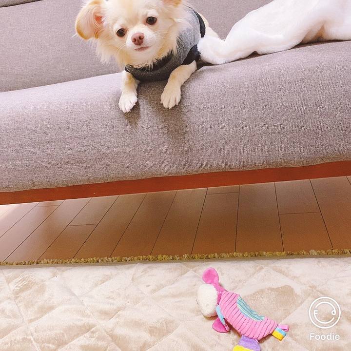 Ce33b37e 575a 4404 9131 cdee5cb71a32 1606481032317