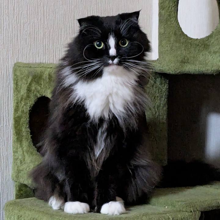 Ce33c38b 8c17 4a24 b4a7 64aded655eaf 1742073236763