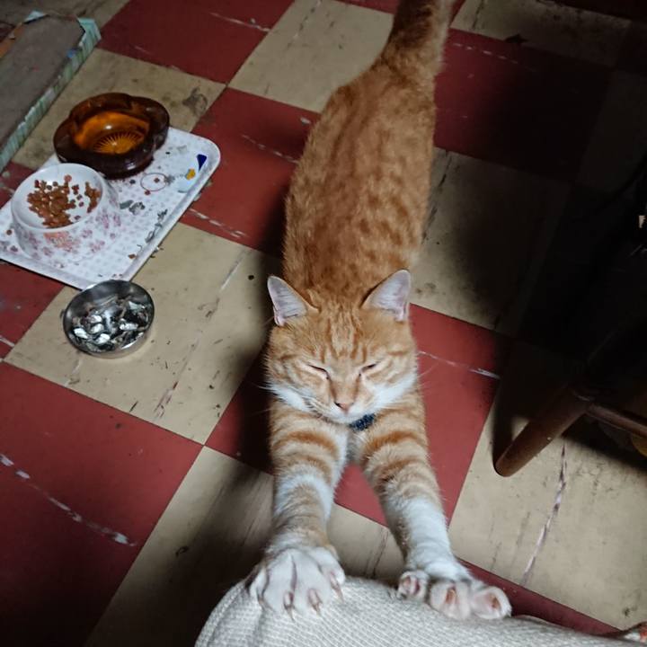 Ce33c6c9 88c0 43a4 ab1e 87713297fa40 1566763560157