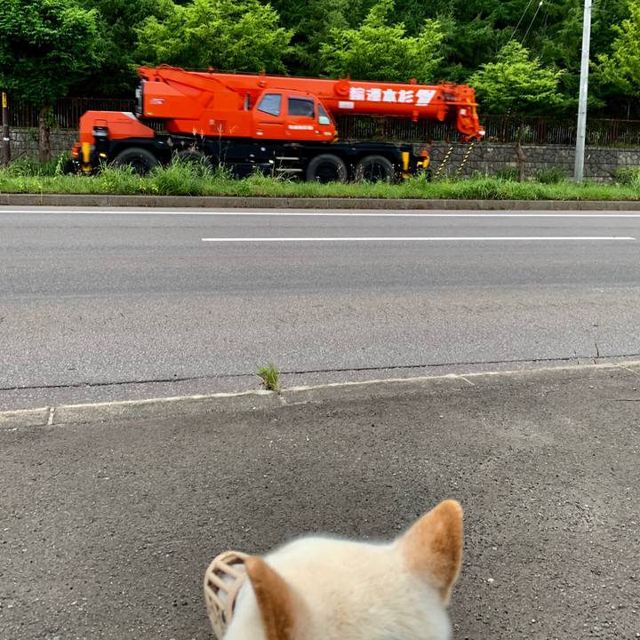 Ce33f8b9 519a 415a bb0f 19d222780d9c 1568412762560