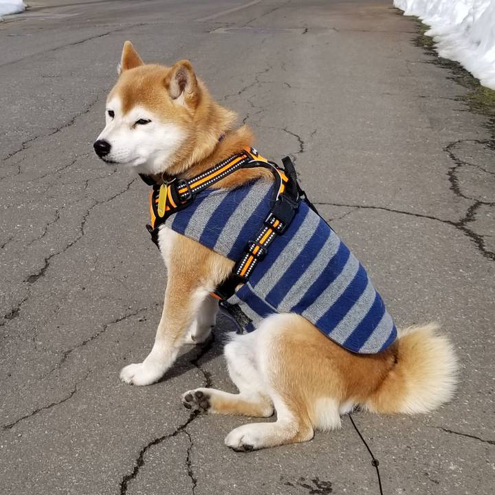 Ce3404c2 df14 4482 a849 e54d5da3556d 1581740273740