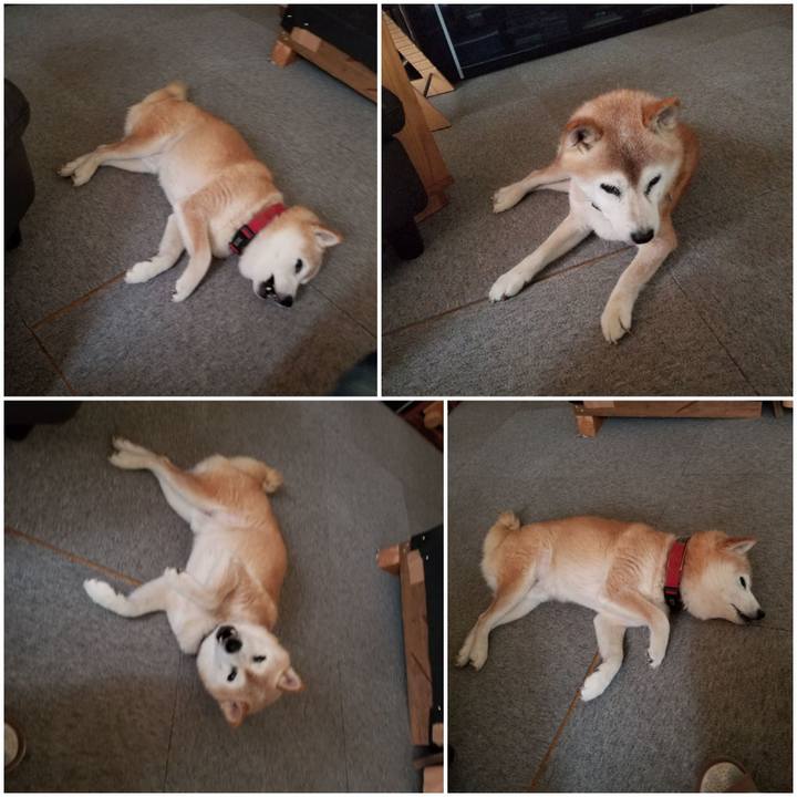 Ce345d67 f8d1 450e b810 6ceab8534bab 1755310409787