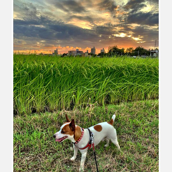 Ce3498dd 571a 4772 8a78 fce7b922a2d2 1565091896488