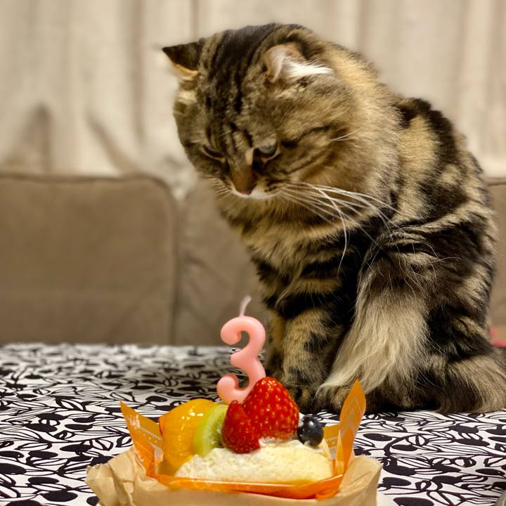 Ce34a101 5548 410d ac81 00902d938324 1641995989166