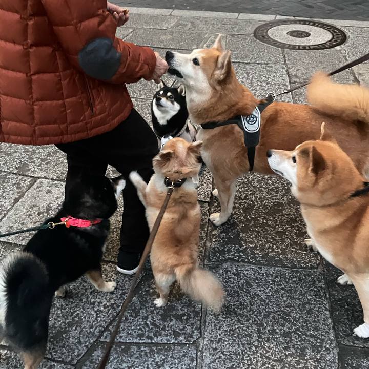 Ce34d3d1 6ec9 4f4e b07c ee7a31e65c09 1772794307989