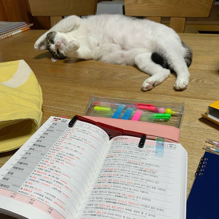 Ce34e65c 3ed2 4c82 a496 dde263cb8ba7 1625657833529