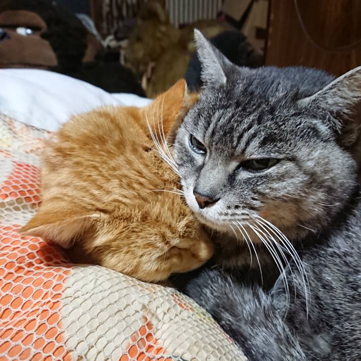 Ce352150 e1de 40dd b511 1d41015f6c9b 1580991012310