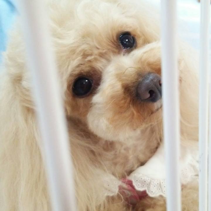 Ce3522fc ed31 40ca 8675 1bff80c2adaf 1522066210641