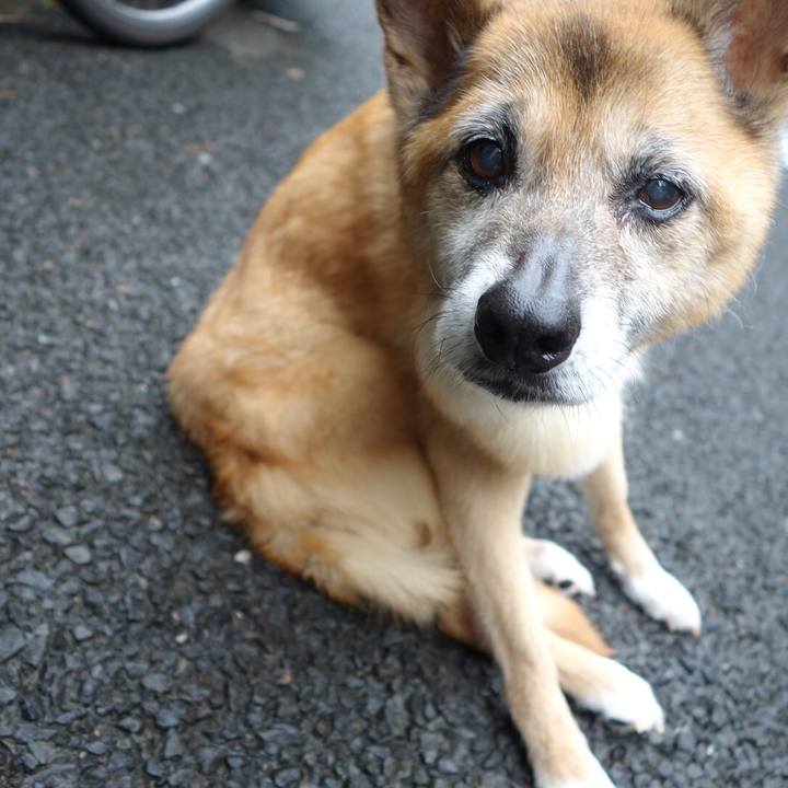 Ce352f00 1051 447a 8702 869bdeb111f0 1561764429748