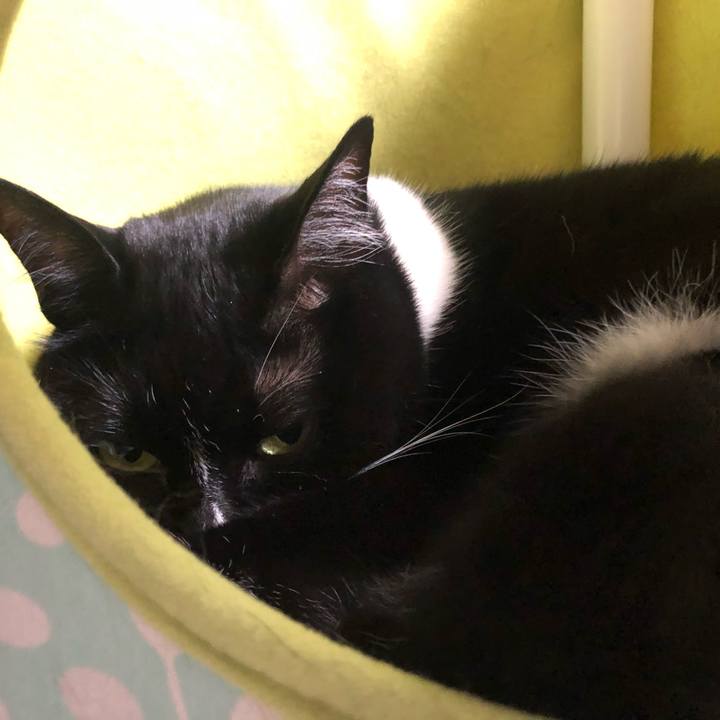 Ce355a5e ffd4 4e0c a273 bff6b4ba3f6f 1587205159249