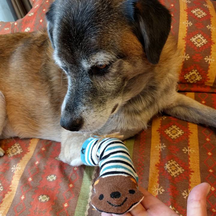 Ce355de5 f87e 4835 90d9 63b115c218c7 1537406959724