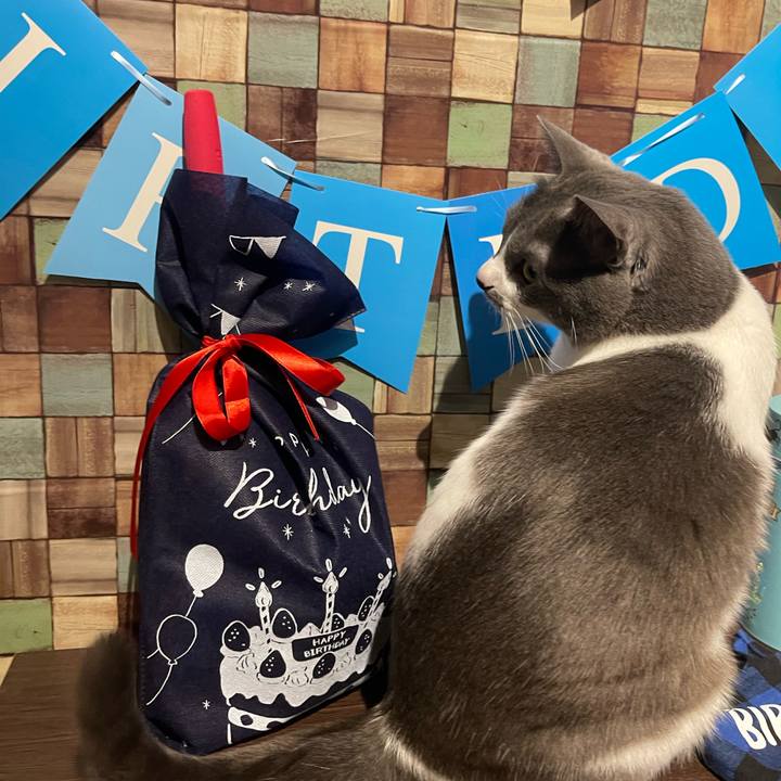 Ce3573f7 7e8a 432f be31 18730e34a6ad 1671624643190