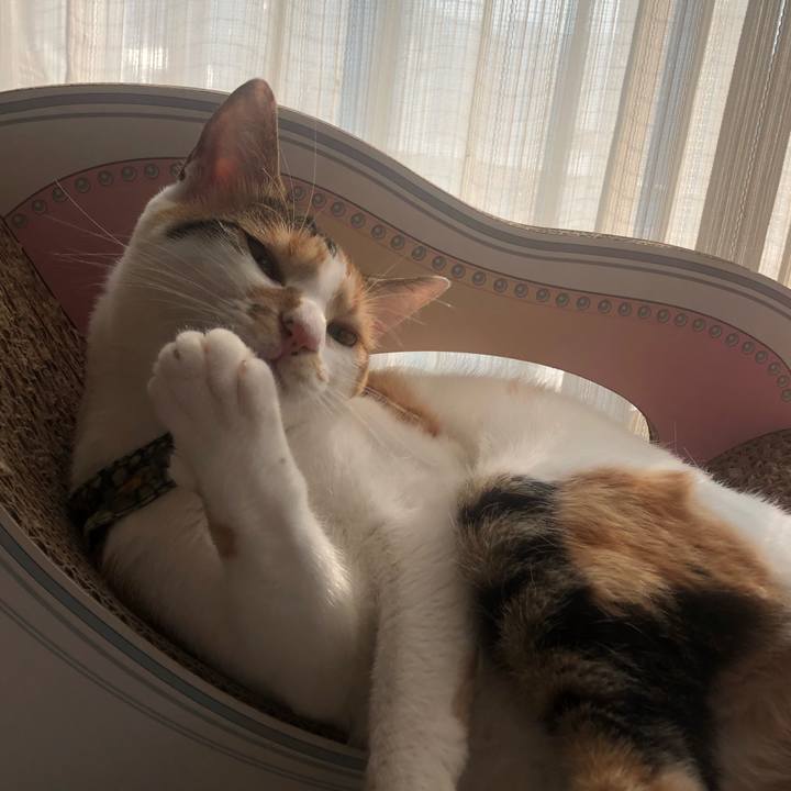 Ce35b40a 2c13 40fe a8e6 6197954d4328 1597480779535