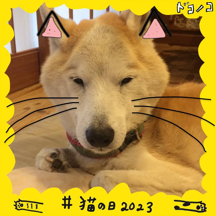 Ce35ed49 ea69 434b 9dad a9a65a966e8f 1677028285564