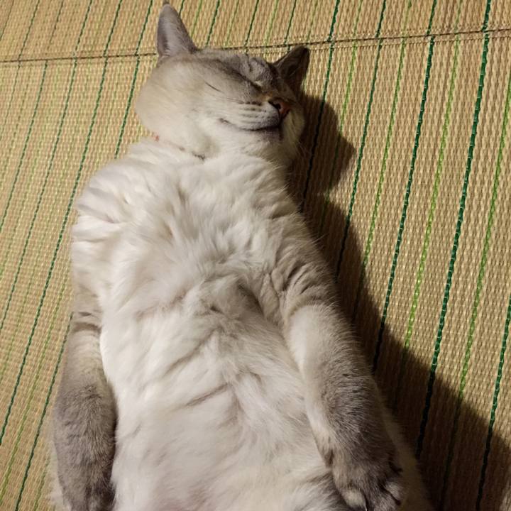 Ce35f57f 941d 4a93 a5ca 323ee6d68550 1539082232237