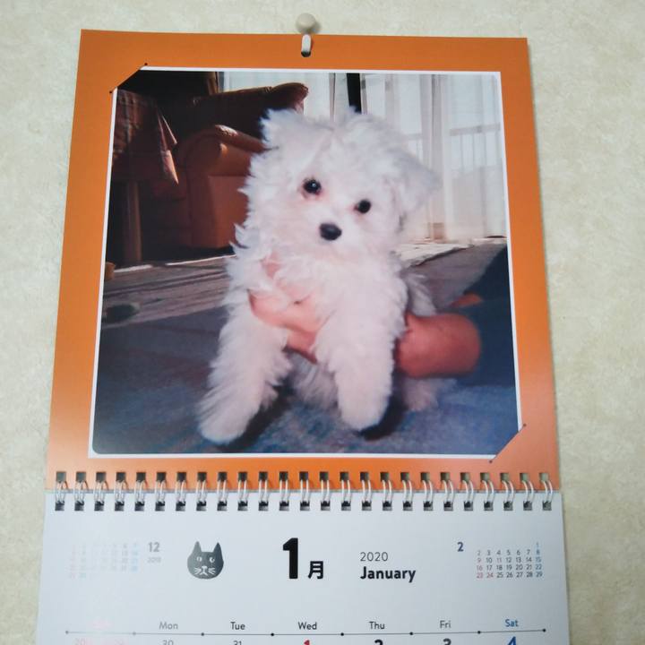 Ce3680bf 93ac 488c 8955 def657093049 1578726416972