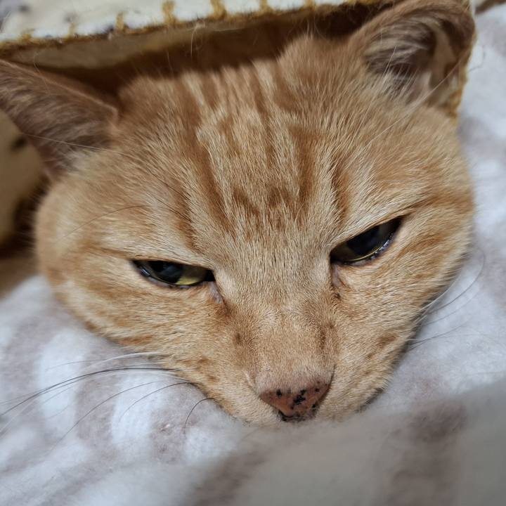 Ce368cd9 da5d 4724 8606 4d98f24c48ac 1745758602383