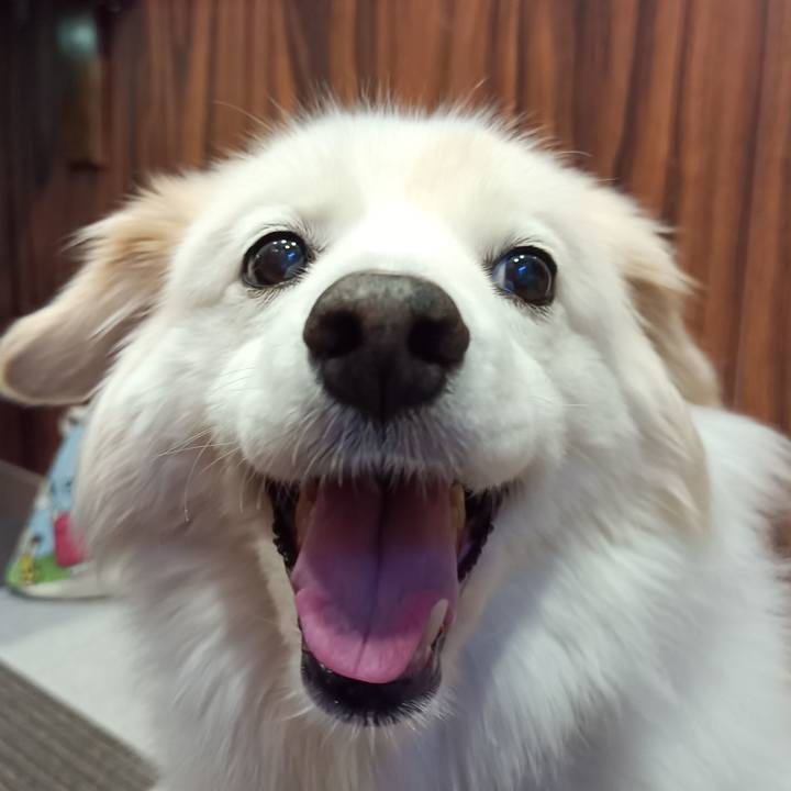 Ce368dd9 600b 448d a4c9 a8be21d9e07d 1681118028026