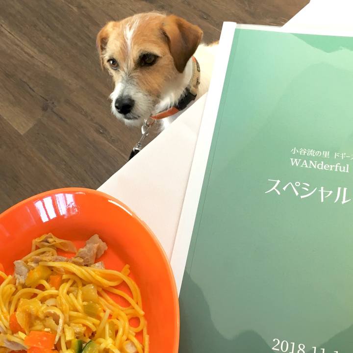 Ce368e36 a6c9 4a13 a3b6 55030810524f 1541246340865