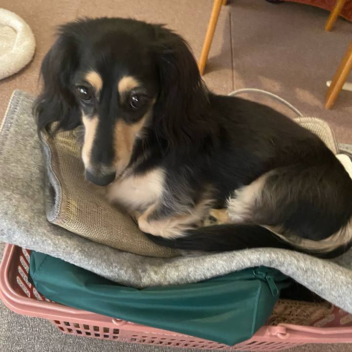 Ce36a273 4c2e 42fe a258 260775706849 1760575131040