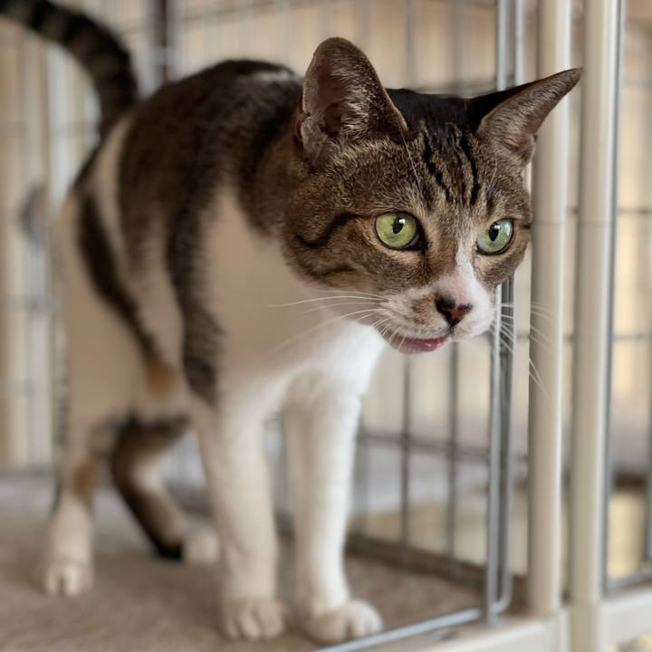 Ce36f1e3 269a 4a45 858a 4d0da6d04c19 1635556684923