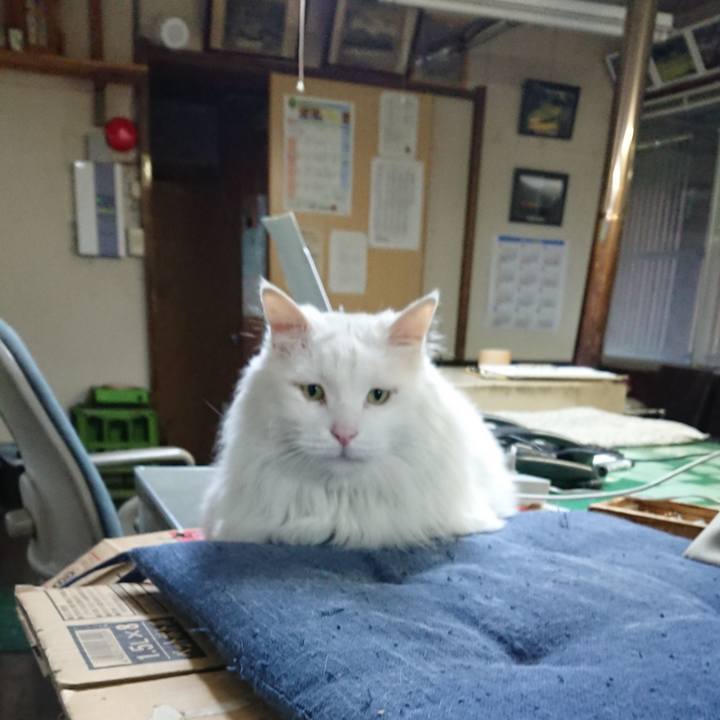 Ce36f33f 03d5 4dbf b6e6 f0e02cda4104 1525819923534