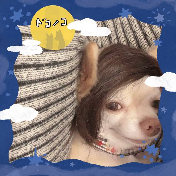 Ce36fe80 73c2 47af abcc 3c5802e5fac5 1726842029096