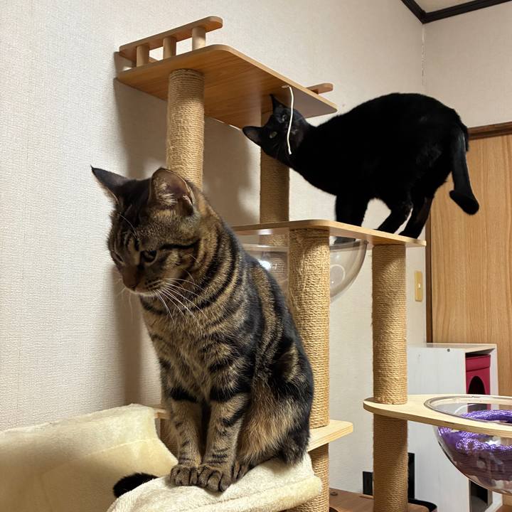 Ce370014 f343 441a 885d bb9ceaff6b75 1768136742737