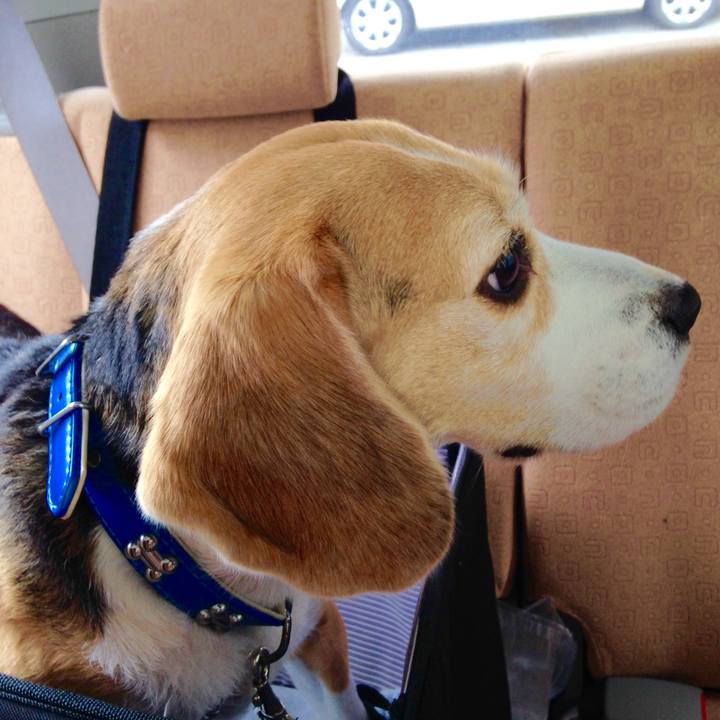 Ce3750cd 47b8 4c47 bd77 08f6832efca3 1740105132851