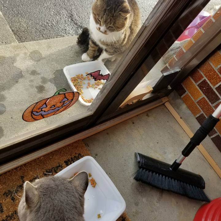 Ce37609d 8bf0 4736 852c 1ee419422d85 1511533170260