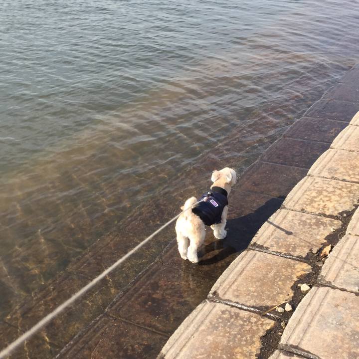 Ce37747d 00f5 4dab bd2d 2187553d11a7 1550996168608