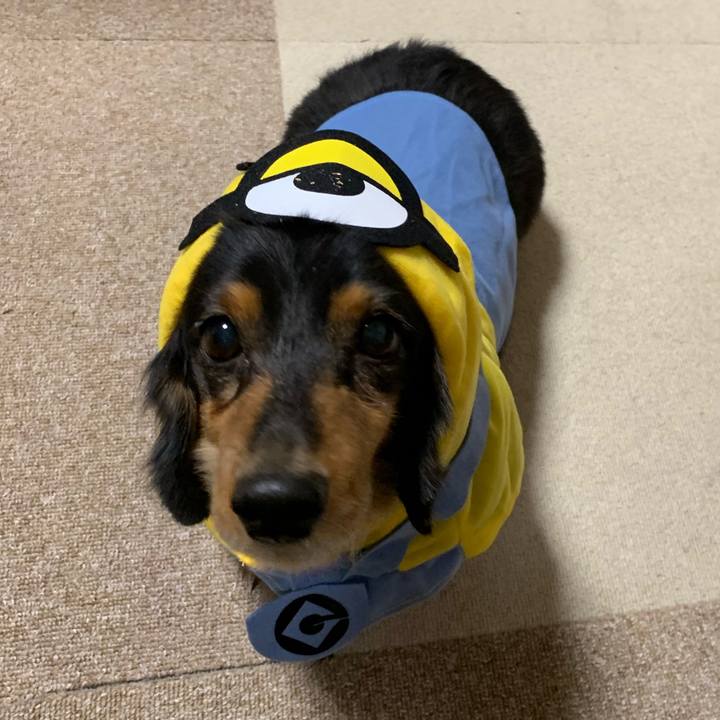 Ce37913c 0af6 436b 8acb 89ab29b63787 1546123309840