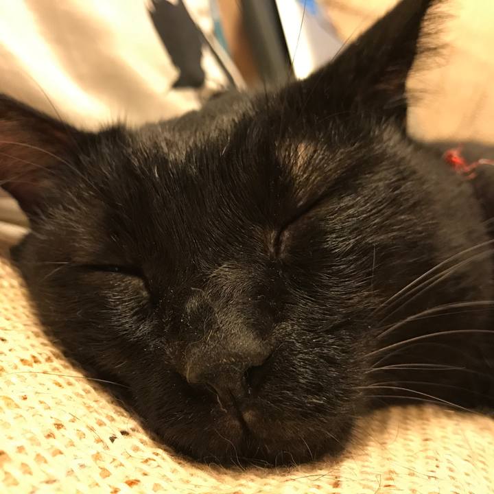 Ce37e6f6 831d 49f4 b16e b159788ebedd 1535994666679