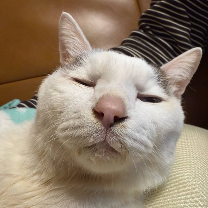 Ce37ece0 aa40 4414 947e 16bb2915446e 1771246489296