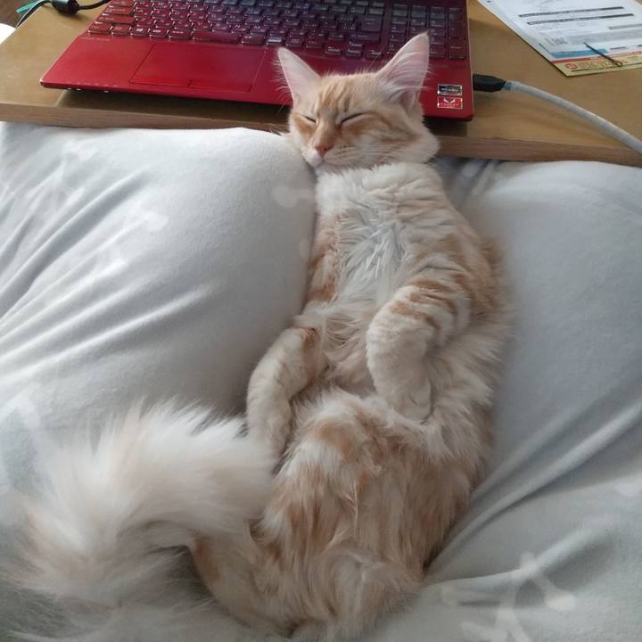 Ce381f48 a195 4dc6 8999 ed53dd4c63d0 1615703070395